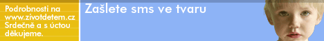 více informací na www.zivotdetem.cz